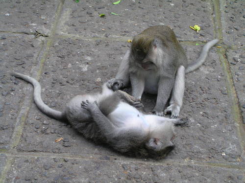 2005_indonesiatrip_206_2